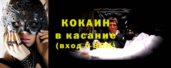 мяу мяу мука Инсар