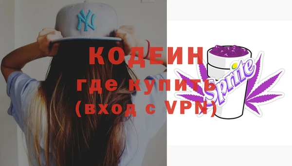 мяу мяу мука Иннополис