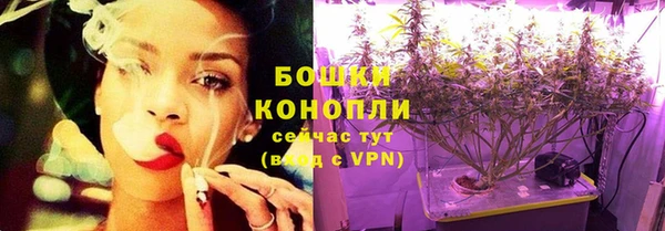 мяу мяу мука Иннополис