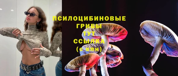 сатива Зеленодольск