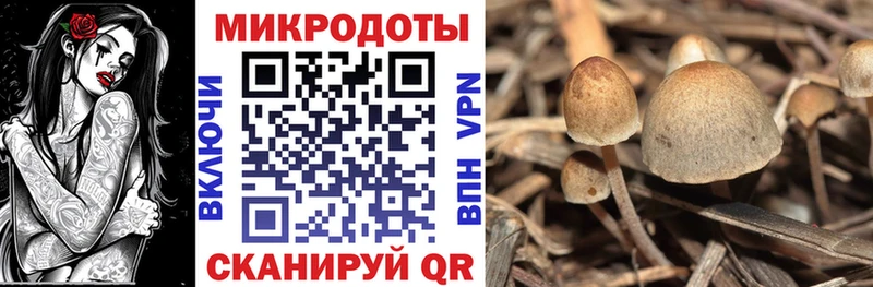 Купить закладки  Козельск  Псилоцибиновые грибы мухоморы 
