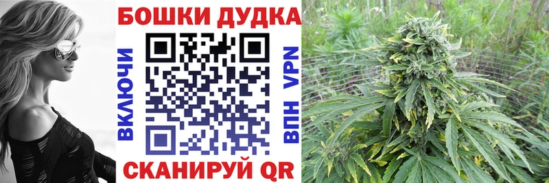 Бошки марихуана ГИДРОПОН  Купить закладки  Козельск 